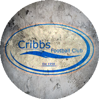 Logo Cribbs