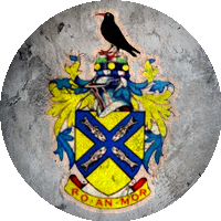 Logo Newquay