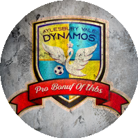 Logo Aylesbury Vale Dynamos