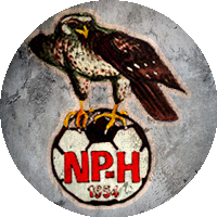 Logo Nilsiän Pallo-Haukat