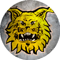 Logo Tampereen Ilves
