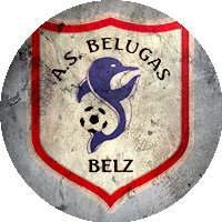 Logo Football Club Bélugas Ria d'Etel