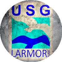 Logo US Les Goélands Larmor Plage
