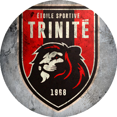 Logo Etoile Sportive Trinité Lyon