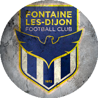 Logo Fontaine-lès-Dijon Football Club