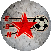 Logo Etoile Sportive de Nouaillé