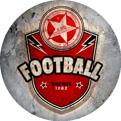 Logo Etoile Sportive Oésienne