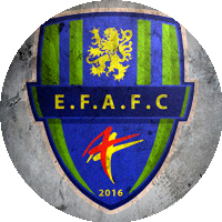 Logo Entente Feignies Aulnoye Football Club
