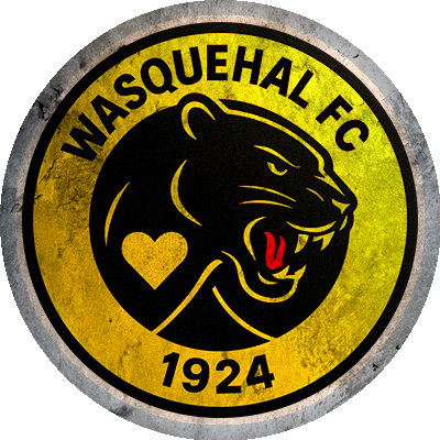 Logo Wasquehal Football