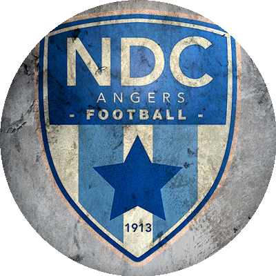 Logo Angers Notre-Dame-des-Champs