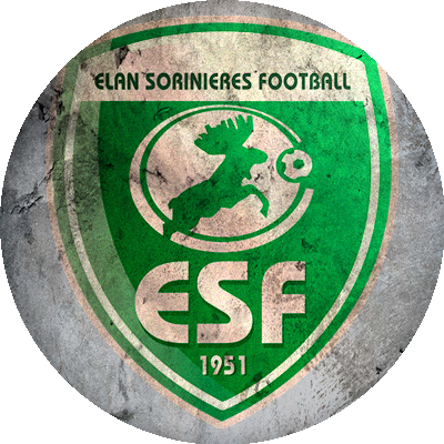Logo Elan Sorinières Football