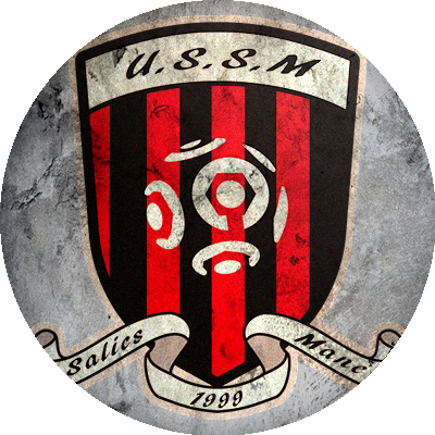 Logo US Salies du Salat Mane Saint Mart