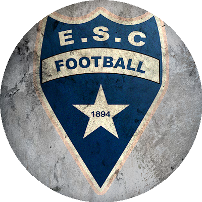 Logo Entente Sportive Colombienne Football