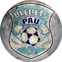 Logo Bleuets de Notre Dame de Pau