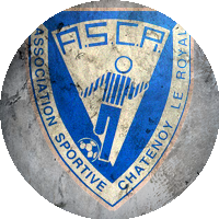 Logo Association Sportive de Châtenoy-le-Royal