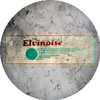 Logo Elvinoise Football Club