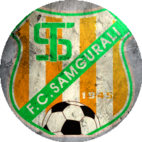 Logo Samgurali Tskhaltubo