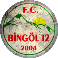 Logo FC Bingöl 12