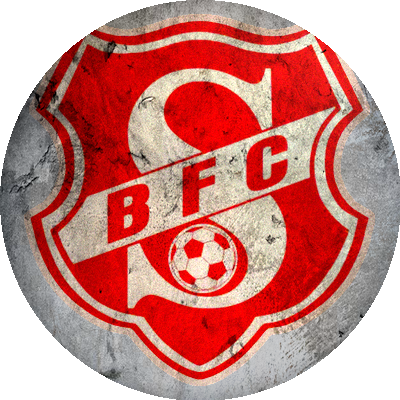 Logo Berliner FC Südring