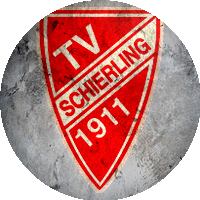Logo TV Schierling
