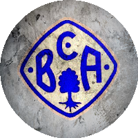 Logo BC Aichach