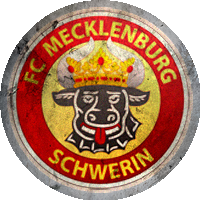 Logo FC Mecklenburg Schwerin