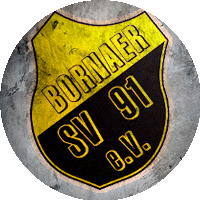 Logo Bornaer SV