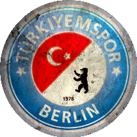 Logo Türkiyemspor Berlin
