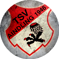 Logo TSV Aindling