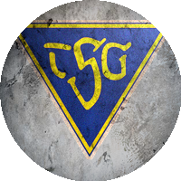 Logo TSG Dülmen