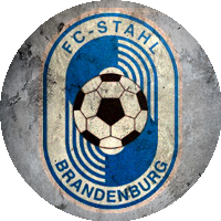 Logo BSG Stahl Brandenburg