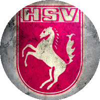 Logo Hammer SpVg