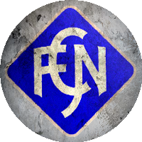 Logo FC Neustadt/Titisee