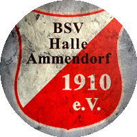Logo BSV Halle-Ammendorf