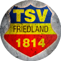 Logo TSV Friedland