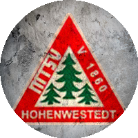 Logo MTSV Hohenwestedt