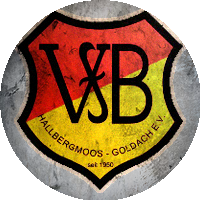 Logo VfB Hallbergmoos