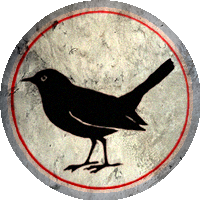 Logo SV Rot-Weiß Merl
