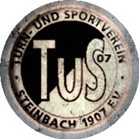 Logo FSG Ottweiler-Steinbach