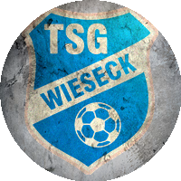 Logo TSG Wieseck
