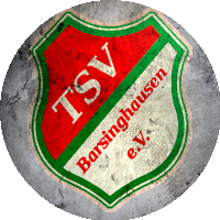 Logo TSV Barsinghausen