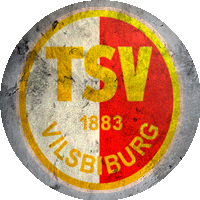 Logo TSV Vilsbiburg