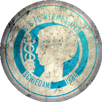 Logo Hermes DVS