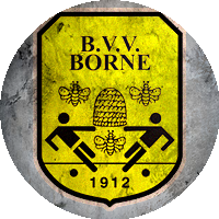 Logo BVV Borne