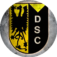 Logo VV Diepenveen