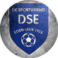 Logo VV DSE