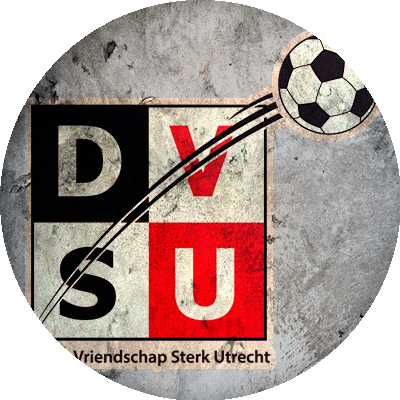 Logo DVSU