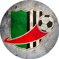 Logo VV De Fendert