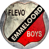 Logo VV Flevo Boys