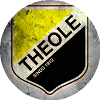 Logo TSV Theole